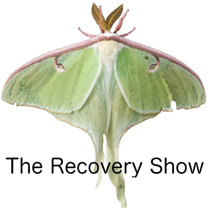 The Recovery Show Podcast